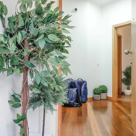 Trendy Funchal (Madeira)