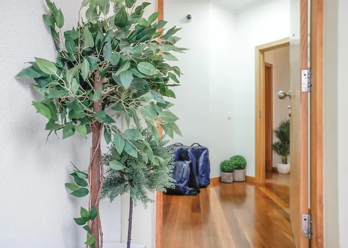 Trendy Funchal (Madeira)